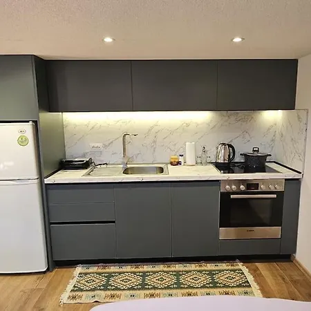 Apartment Damsi Loft *