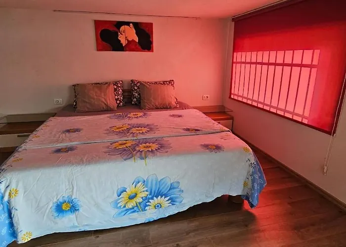 Damsi Loft Apartament *