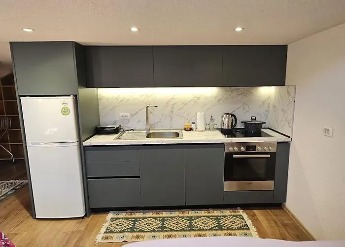 Apartament Damsi Loft *